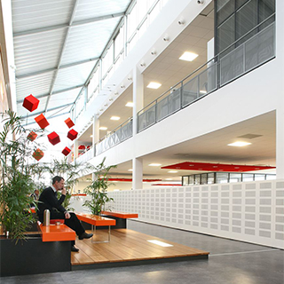 bureaux en open space